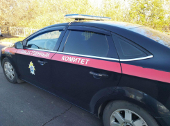 СК начал проверку после исчезновения 11-летней девочки в Воронеже