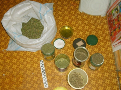 В Воронежской области наркобизнесмен продавал марихуану жителям всех регионов