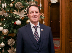 О смешанных чувствах от прошедшего года рассказал воронежский депутат Гордеев