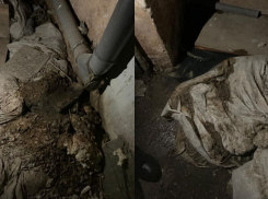 Без света, в воде и мусоре: жуткую сторону бомбоубежища показали на видео в Воронеже