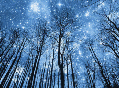 На Воронеж 6 мая прольется звездный дождь