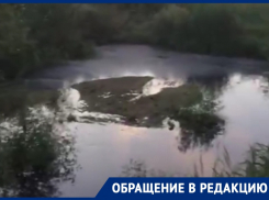Мощный сброс нечистот в водохранилище воронежцы записали на видео