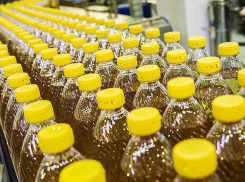 Скандального совладельца «Эртильского» маслозавода оставили в СИЗО