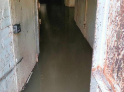 Вонючий подвал шокировал воронежцев