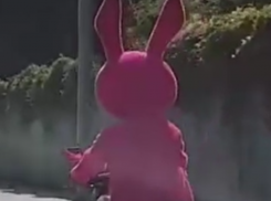 Гигантский розовый кролик проехался на байке по Воронежу