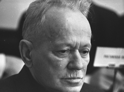 В Воронеже может появиться арт-объект автору «Тихого Дона» Михаилу Шолохову