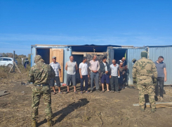 Узбекского мигранта-нелегала выдворят из России после проверки в Воронежской области 