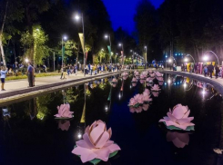 Концепцию воронежского фестиваля “Город-сад” разработают москвичи