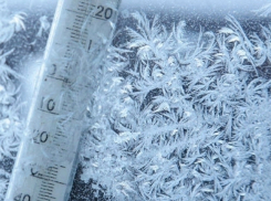 Сегодня ночью в Воронеже похолодает до -13°C