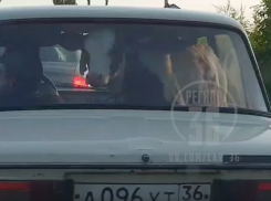 Комичную перевозку теленка в салоне «Жигулей» сняли в Воронеже
