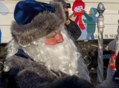 Краевед назвала фэйком утверждение «Воронеж - родина Нового года»