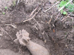 В Воронеже нашли минометную мину рядом со студенческим городком ВПИ