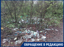 Грязное отношение к популярному пляжу в Воронеже показали на фото