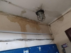 «РВК-Воронеж» отреагировал на историю с пятимесячным паром из подвала в доме на Новосибирской