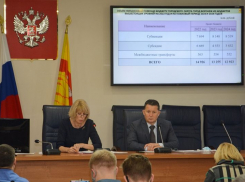 Опубликованы параметры бюджета Воронежа в 2022 году