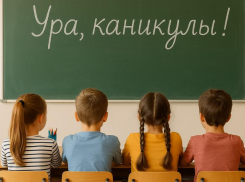  Воронежцы не одобрили сокращение школьных каникул
