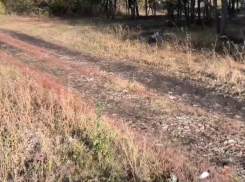 “Купите вертолет”: нестандартную идею подал чиновник многодетной семье в Воронежской области