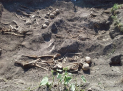 Крупнейший в Воронеже поисковый отряд оказался в центре скандала