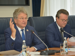 Новая организация займется маршрутками и платными парковками в Воронеже