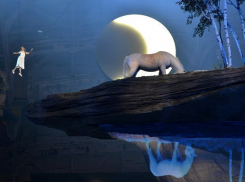 В Воронеже звезда Олимпийских игр в Сочи передаст крымским детям учебники