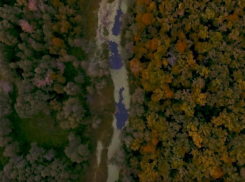 Красота воронежского заповедника с высоты птичьего полета попала на видео