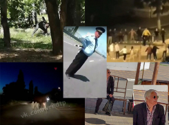 Полицейский-шутник и еще четыре несуразные новости из Воронежа