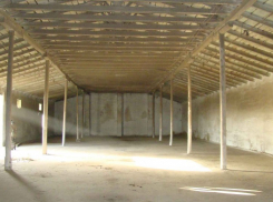 В Воронежской области безработные похитили более 3 тонн семян подсолнечника