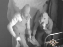 Чудовищное избиение 97-летнего ветерана Великой Отечественной войны накануне 9 Мая под Воронежем попало на видео 