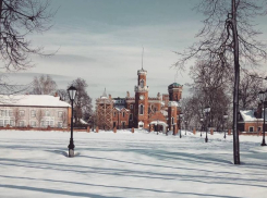 Компания из Чебоксар обожглась на госконтракте во дворце Ольденбургских под Воронежем