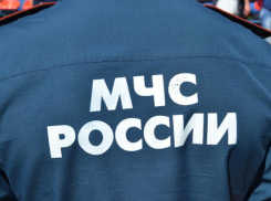 Сотруднику воронежского МЧС грозит уголовное дело из-за бизнеса жены