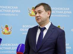 Закон о бюджете области на 2024 год мог быть принят депутатами с нарушением Регламента