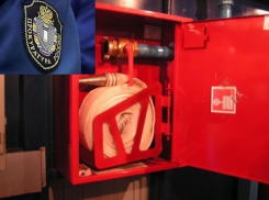 В Воронеже пожарный надзор незаконно проводил проверки