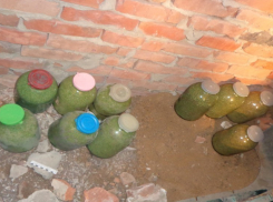 В Воронежской области у преступной группы изъяли 9 килограммов марихуаны