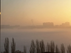 Сырость, давление и один почти солнечный день ожидаются в Воронеже