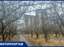 Как выглядит масштабная территория воронежского Яблоневого сада зимой