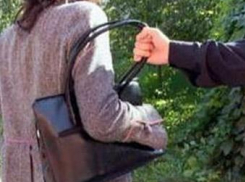 В Воронеже два брата напали на пенсионерку ради ее сумки 