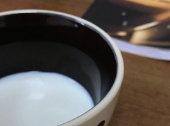 В Воронеже придумали, как делать молоко из конопли