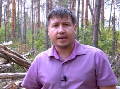 Защитники Северного леса рассказали о давлении на губернатора Гусева