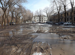 Воронежскому депутату сделали намек при помощи позорного сквера