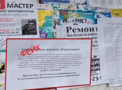 Фейковые объявления о беженцах появились на улицах Воронежа 