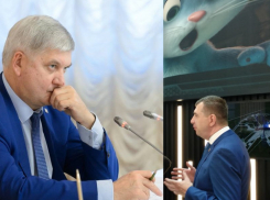 Министр Кустов резко ухудшил сценарий экономического развития Воронежской области на 2024 год