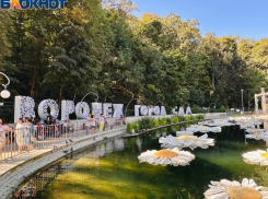 Опубликована программа воронежского фестиваля «Город-сад»