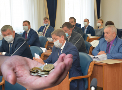 Раскрываем имена 20 депутатов Воронежской гордумы, которые проголосовали за повышение тарифов ЖКХ на 9,1%