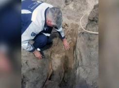 Череп и другие человеческие останки нашли возле АЭС в Нововоронеже