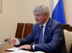 Новогодние подарки детям за 10 млн рублей должны иметь надпись «От Губернатора Воронежской области»