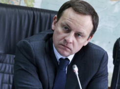У депутата Госдумы от Воронежской области трагически умерла дочь
