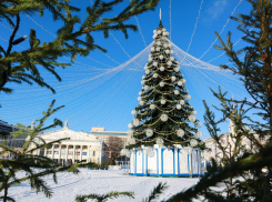 Когда откроют новогоднюю площадь для посетителей в Воронеже