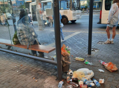  «Как заставить работать мэра?» - мусорная остановка возмутила воронежцев