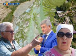 «В общественном туалете пахнет приятнее»: почему зелено-вонючая катастрофа накрыла жителей Воронежа