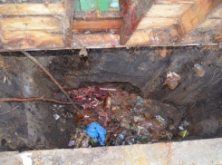 50 тысяч рублей заплатят за помощь в поимке россошанки, бросившей младенца в уличный туалет